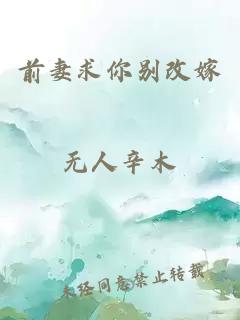 前妻求你别改嫁