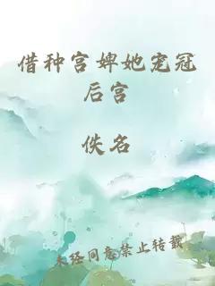 借种宫婢她宠冠后宫