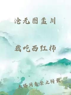 沧元图孟川
