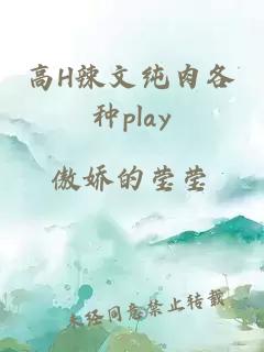 高H辣文纯肉各种play