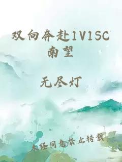 双向奔赴1V1SC南望