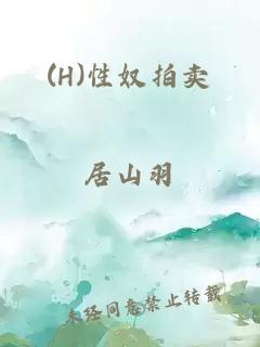 (H)性奴拍卖